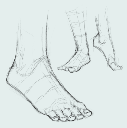 feet.jpg